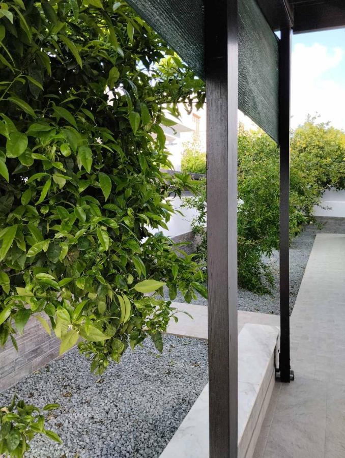 Michael Angelo Villa بافوس المظهر الخارجي الصورة